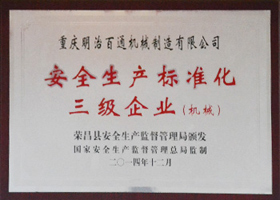 安全生產標準化三級企業(yè)